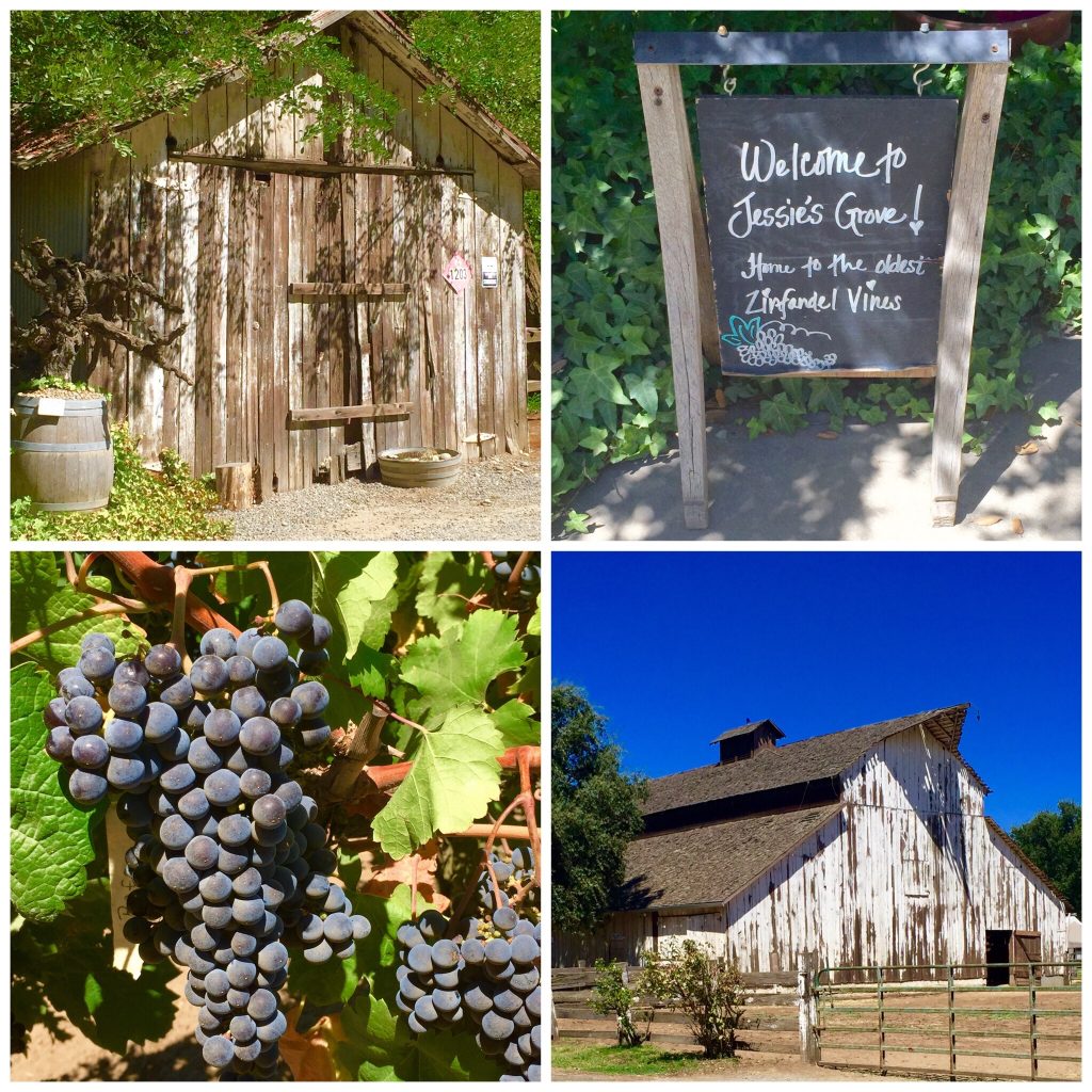 Jessie's Grove Winery