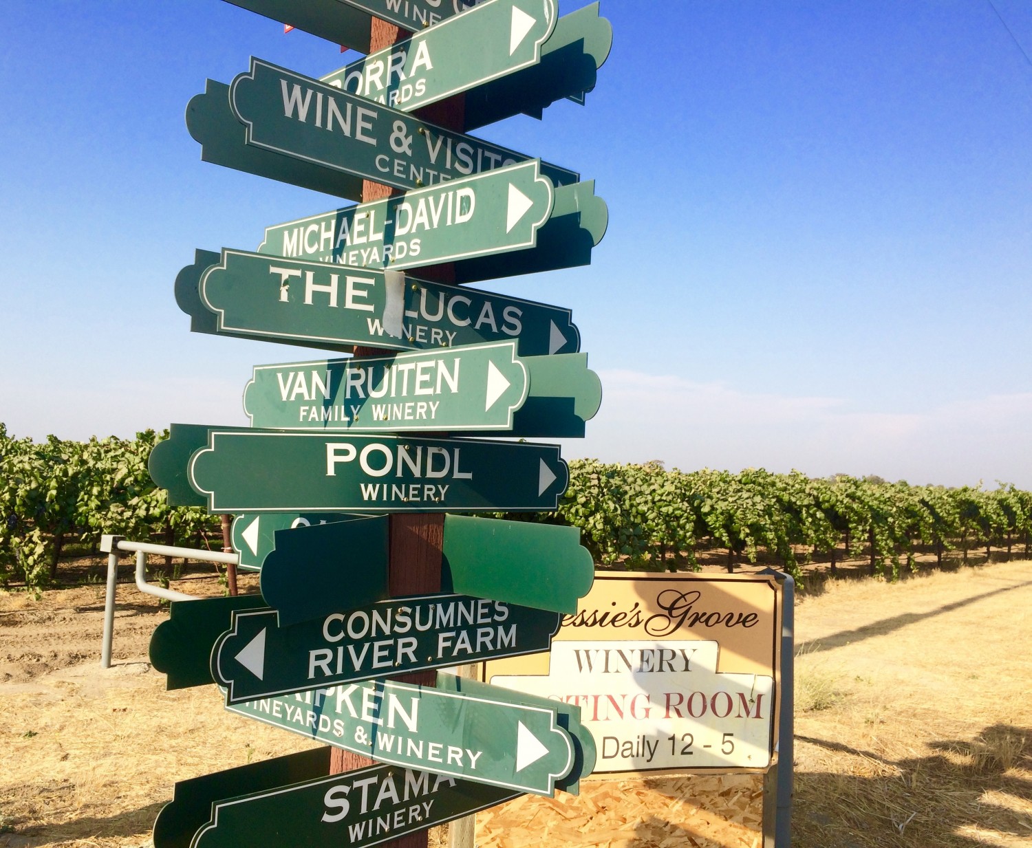 loco for LoCa: lodi delivers wind and wine. • Jill Wiley