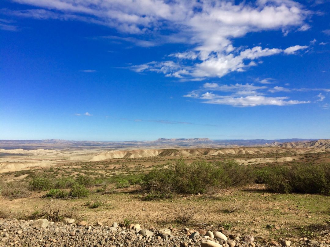 beautiful punta san carlos. • Jill Wiley