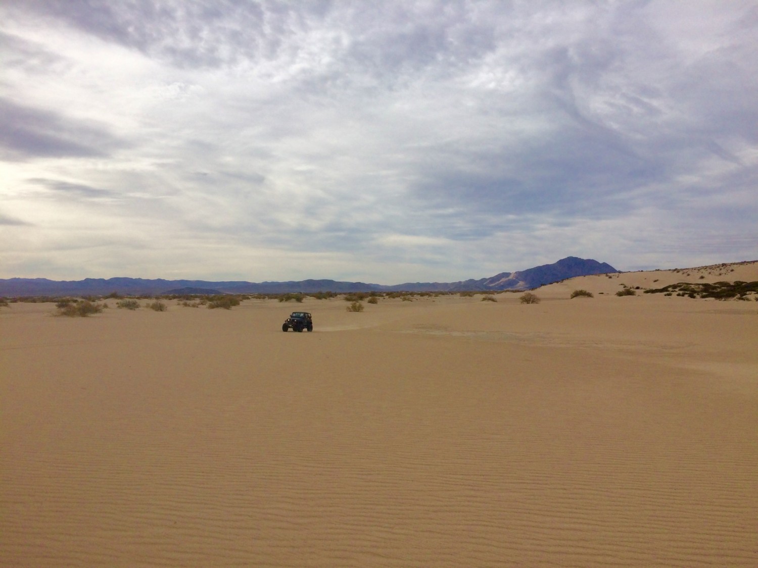 Mojave Trail sand dunes