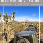 Mayhem on the Mohave Trail jillwiley adventure