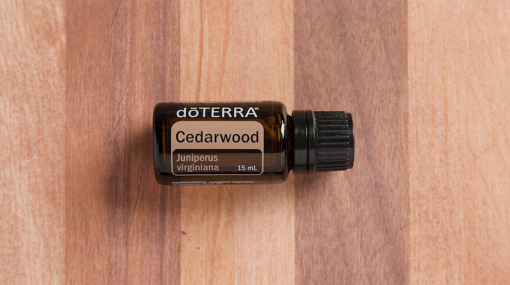 cedarwood essential oil doterra jillwiley