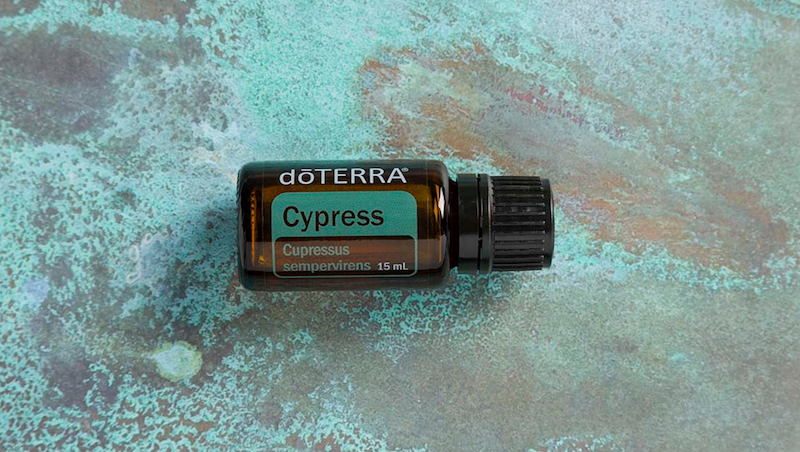 cypress essential oil doterra jillwiley