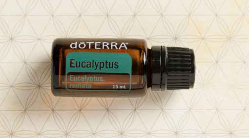 eucalyptus essential oil doterra jillwiley
