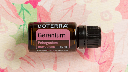 geranium essential oil doterra jillwiley