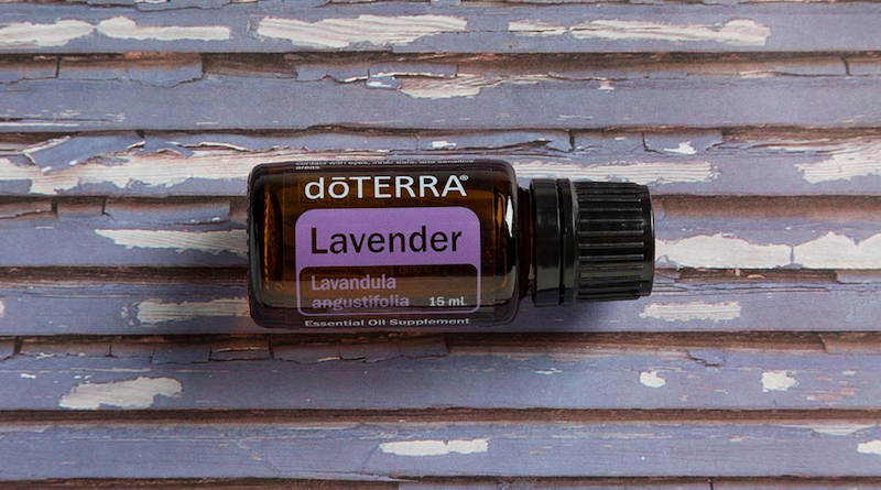 lavender essential oil doterra jillwiley