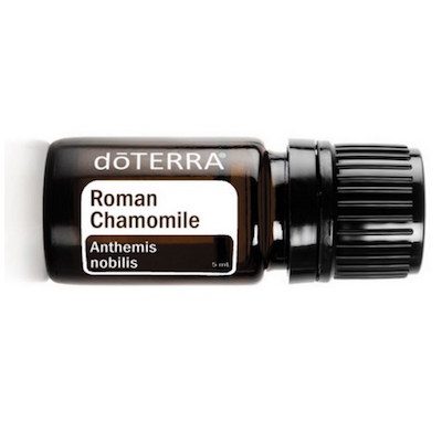 roman chamomile essential oil doterra jillwiley