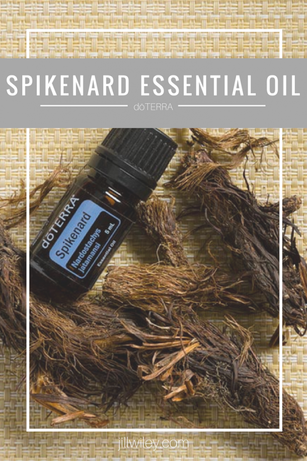 Spikenard Essential Oil • Jill Wiley 4142