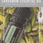 cardamom essential oil doterra jillwiley