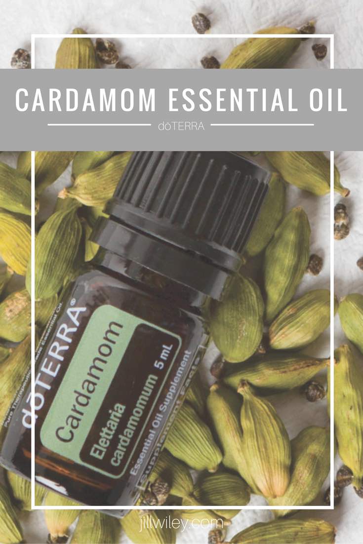 cardamom essential oil doterra jillwiley